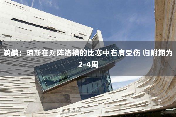 鹈鹕：琼斯在对阵袼褙的比赛中右肩受伤 归附期为2-4周
