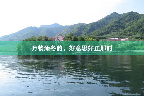 万物添冬韵，好意思好正那时