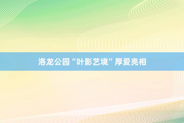 洛龙公园“叶影艺境”厚爱亮相