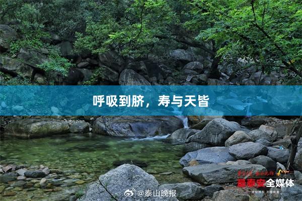 呼吸到脐，寿与天皆