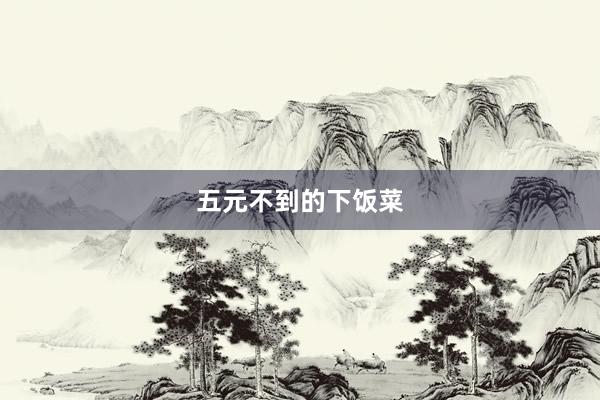 五元不到的下饭菜