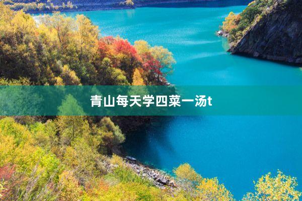 青山每天学四菜一汤t