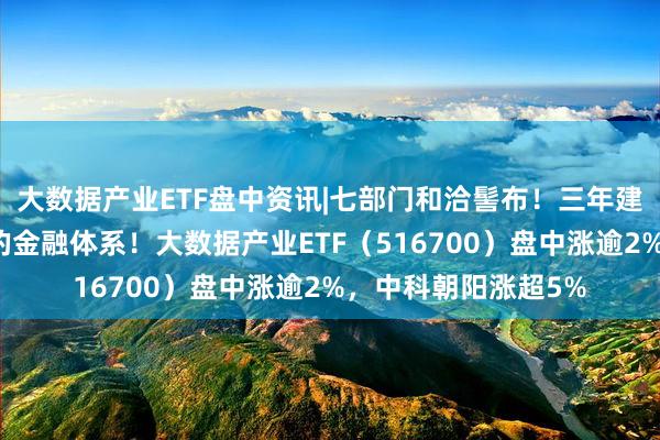 大数据产业ETF盘中资讯|七部门和洽髻布！三年建成与数字经济得当的金融体系！大数据产业ETF（516700）盘中涨逾2%，中科朝阳涨超5%