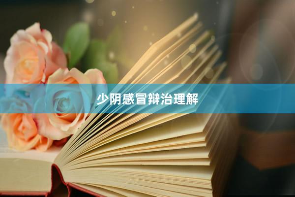 少阴感冒辩治理解