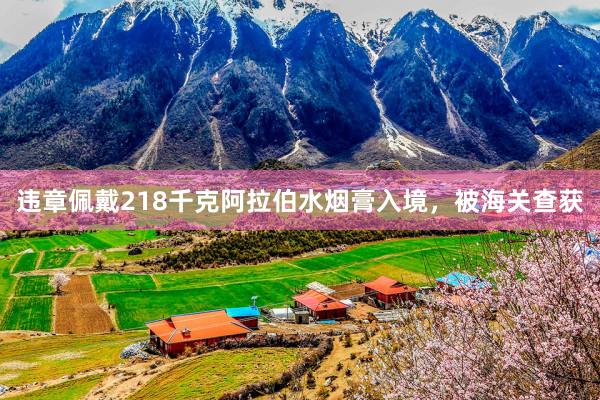 违章佩戴218千克阿拉伯水烟膏入境，被海关查获