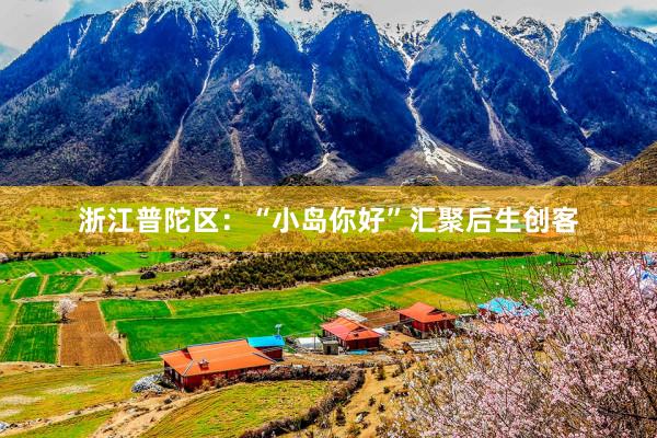 浙江普陀区：“小岛你好”汇聚后生创客