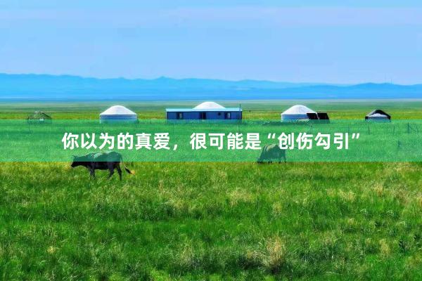 你以为的真爱，很可能是“创伤勾引”