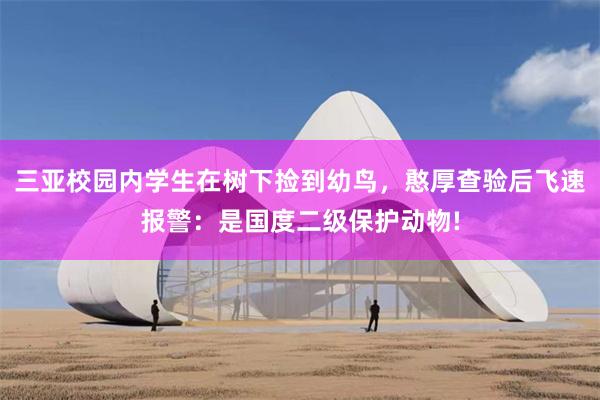三亚校园内学生在树下捡到幼鸟，憨厚查验后飞速报警：是国度二级保护动物!