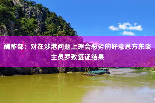 酬酢部：对在涉港问题上理会恶劣的好意思方东谈主员罗致签证结果