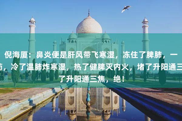 倪海厦：鼻炎便是肝风带飞寒湿，冻住了脾肺，一个中成药，冷了温肺炸寒湿，热了健脾灭内火，堵了升阳通三焦，绝！