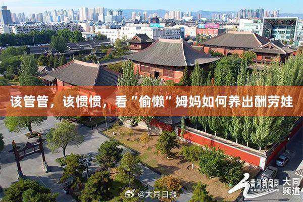 该管管，该惯惯，看“偷懒”姆妈如何养出酬劳娃