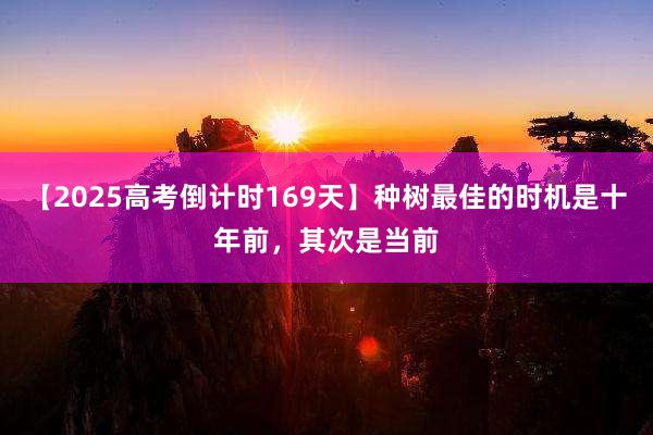 【2025高考倒计时169天】种树最佳的时机是十年前，其次是当前